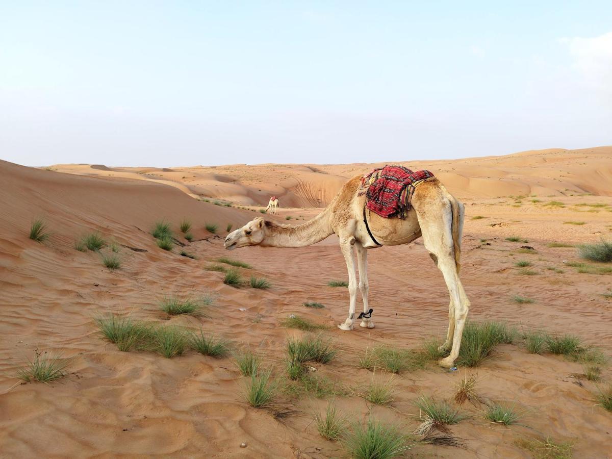 Sands Dream Tourism Camp Shāhiq 외부 사진